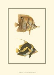 Antique Tropical Fish II - Art Print by  Vision studio | Movie Poster Prints from Posterazzi