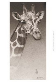 "Jean, the Giraffe" - Art Print by Robert L. Caldwell | Movie Poster Prints from Posterazzi
