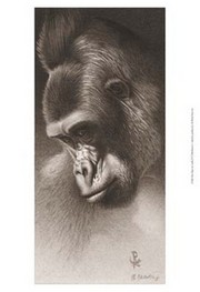 "Silver Back, the Gorilla" - Art Print by Robert L. Caldwell | Movie Poster Prints from Posterazzi