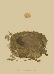 Antique Nest Egg I - Art Print | Movie Poster Prints from Posterazzi