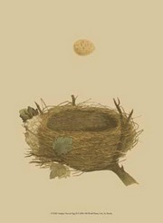Antique Nest Egg II - Art Print | Movie Poster Prints from Posterazzi