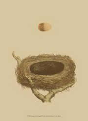 Antique Nest Egg III - Art Print | Movie Poster Prints from Posterazzi