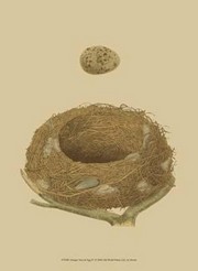 Antique Nest Egg IV - Art Print | Movie Poster Prints from Posterazzi