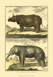 Diderot's Elephant and Rhino - Art Print by Denis Diderot | Movie Poster Prints from Posterazzi