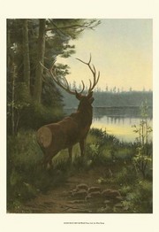 Elk - Art Print by Oliver Kemp | Movie Poster Prints from Posterazzi