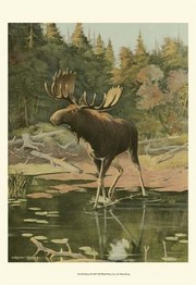 Moose - Art Print by Oliver Kemp | Movie Poster Prints from Posterazzi