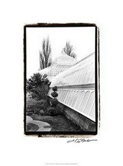 Conservatory IV - Art Print by Laura Denardo | Movie Poster Prints from Posterazzi