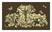Nature's Splendor On Chocolate I - Art Print by Michelangelo Pergolesi | Movie Poster Prints from Posterazzi
