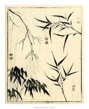 Bamboo Woodblock I - Art Print | Movie Poster Prints from Posterazzi