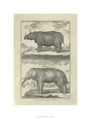 Elephant Rhino - Art Print by Denis Diderot | Movie Poster Prints from Posterazzi