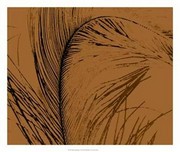 Feathered Impression I - Art Print | Movie Poster Prints from Posterazzi