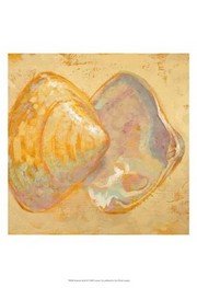 Shoreline Shells II - Art Print by Lorraine Vail | Movie Poster Prints from Posterazzi