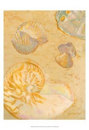 Shoreline Shells VI - Art Print by Lorraine Vail | Movie Poster Prints from Posterazzi
