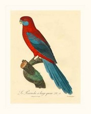 "Barraband Parrot, PL 78" - Art Print by Jacques Barraband | Movie Poster Prints from Posterazzi