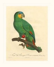 "Barraband Parrot, PL 110" - Art Print by Jacques Barraband | Movie Poster Prints from Posterazzi