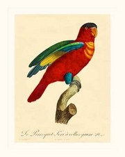"Barraband Parrot, PL 95" - Art Print by Jacques Barraband | Movie Poster Prints from Posterazzi