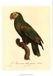 "Barraband Parrot, PL 86" - Art Print by Jacques Barraband | Movie Poster Prints from Posterazzi