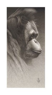 "Jojo, The Orangutan" - Art Print by Frank Caldwell | Movie Poster Prints from Posterazzi