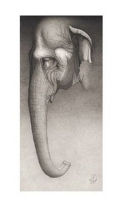 "Toni, The Elephant" - Art Print by Frank Caldwell | Movie Poster Prints from Posterazzi