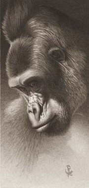 "Silver Back, The Gorilla" - Art Print by Frank Caldwell | Movie Poster Prints from Posterazzi