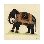 Elephant from India II - Art Print by  Illuminations | Movie Poster Prints from Posterazzi
