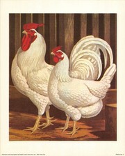"Poultry, IV" - Art Print by  Cassells | Movie Poster Prints from Posterazzi