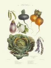 "Savoy Cabbage, Turnip" - Art Print by  Vilmorin | Movie Poster Prints from Posterazzi