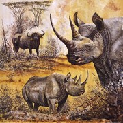 Safari I - Art Print by Gary Blackwell | Movie Poster Prints from Posterazzi
