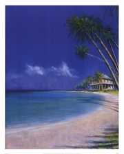 Bahama Cove - Art Print by Fred Fieber | Movie Poster Prints from Posterazzi