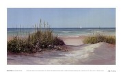 Beach Path - Art Print by Jacqueline Penney | Movie Poster Prints from Posterazzi