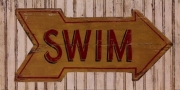 Go Swim - Art Print by Zaricor | Poster Prints from Posterazzi