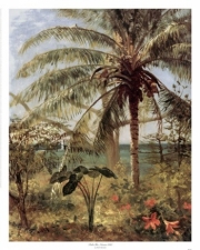 Albert Bierstadt Palm Tree Poster Print