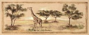 Ann Brodhead Safari Giraffe 20.00 x 8.00 Poster Print