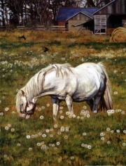 Amazin Grazin - Art Print by Bonnie Mohr | Poster Prints from Posterazzi