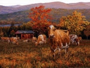 Autumns Gold - Art Print by Bonnie Mohr | Poster Prints from Posterazzi
