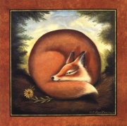 Sleepy Fox - Art Print by Donna Lacey-Derstine | Movie Poster Prints from Posterazzi