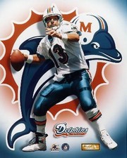 Dan Marino PF Gold II - Sports Photo Print | Posters from Posterazzi