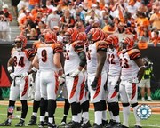 2005 Bengals Huddle - Sports Photo Print | Posters from Posterazzi