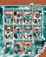 2006 Dolphins Team Composite - Sports Photo Print | Posters from Posterazzi