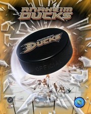 2006 Ducks logo - Sports Photo Print | Posters from Posterazzi