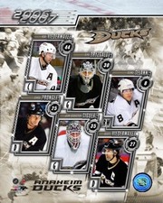 06 '07 Ducks Team Composite - Sports Photo Print | Posters from Posterazzi