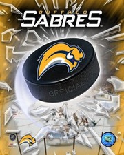 06 '07 Sabres Team Logo - Sports Photo Print | Posters from Posterazzi