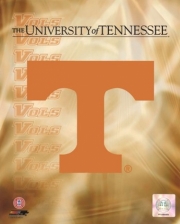 2008 University of Tennessee Logo - Sports Photo Print | Posters from Posterazzi