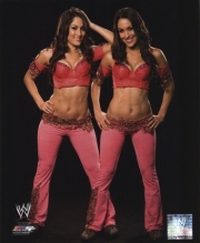 Bella Twins #535 - Sports Photo Print | Posters from Posterazzi