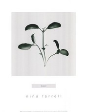 Basil - Art Print by Nina Farrell | Movie Poster Prints from Posterazzi