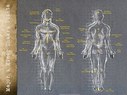 Major and Minor Chakra Points - Art Print | Poster Prints from Posterazzi