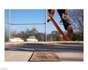 High Ollie 10.00 x 8.00 Poster Print