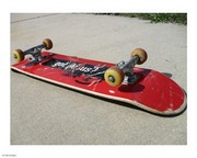 Got Jesus? Skateboard 8.00 x 10.00 Poster Print