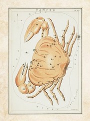 Cancer Zodiac Sign - Art Print | Poster Prints from Posterazzi