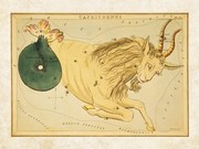 Capricornus Zodiac Sign - Art Print | Poster Prints from Posterazzi